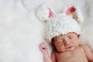 baby bunny, newborn shoot