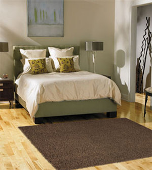 smartstrand rug, shag rug, eco friendly, smart strand