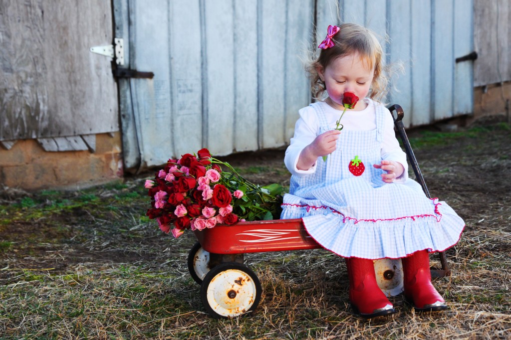 Kid Photo Ideas, roses photo prop, toddler photo ideas