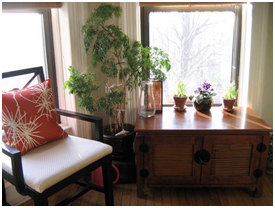 decor, indoor plants, plant decor, mohawk home, small spaces