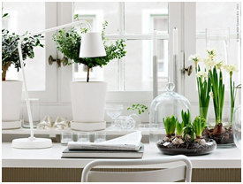white, light, pops of green, color or color, mohawk home