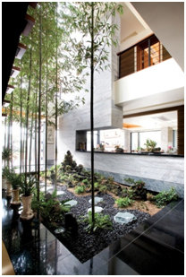 indoor oasis, Mohawk Home, Landscape architecture, decor