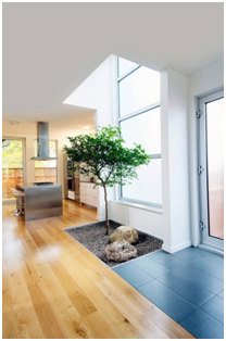 indoor garden, indoor tree, decor, white space, mohawk home