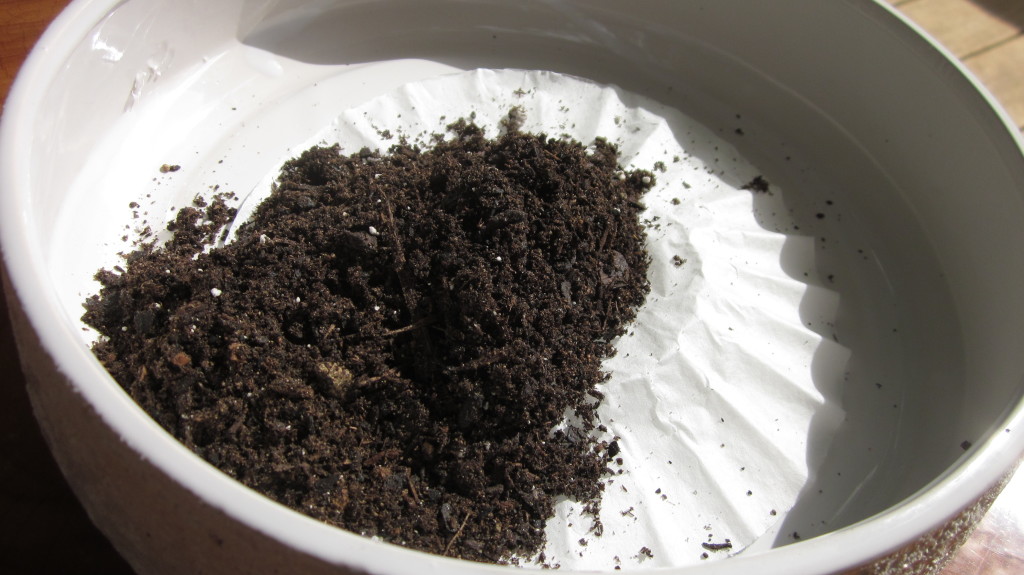 coffee filter to help succulent garden drain, gardening tip, DIY succulent garden