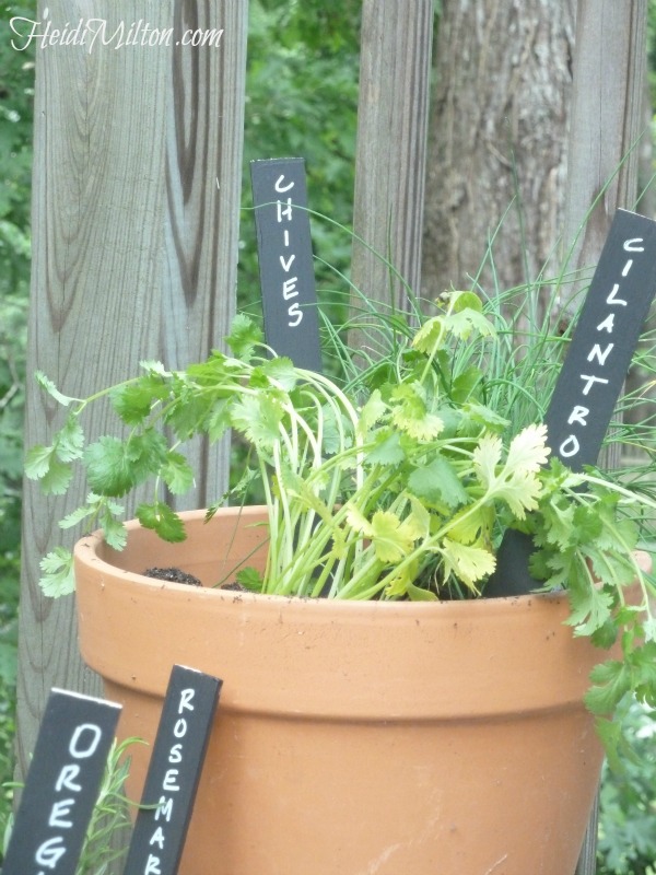 DIY herb garden, container herb garden, how-to, fresh herbs, Pinterest inspiration, Weekend Project