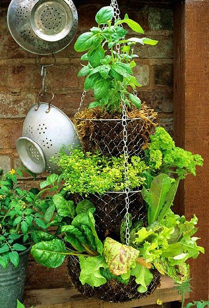 DIY herb garden, repurposed tiered kitchen baskets, how-to, fresh herbs, Pinterest inspiration
