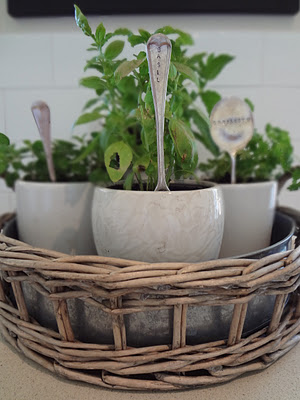 DIY herb garden, kitchen herb garden, how-to, fresh herbs, Pinterest inspiration