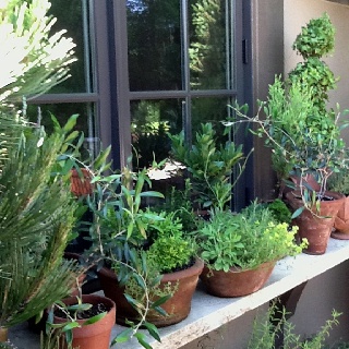 DIY herb garden, kitchen herb garden, how-to, fresh herbs, Pinterest inspiration