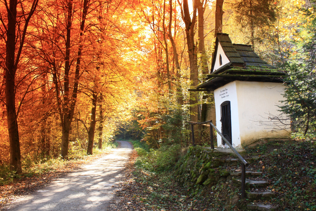 Autumn, Winterizing you home, quick projects for prepping your home for winter
