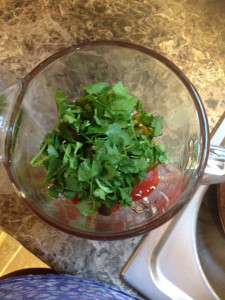 Fresh Cilantro for Salsa