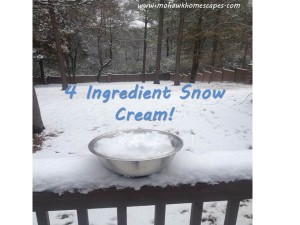 snow cream, easy snow day activity, snow ice cream, easy snow ice cream