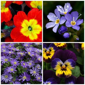 weekend project - Mohawk Homescapes - garden ideas - DIY garden pots - spring flowers