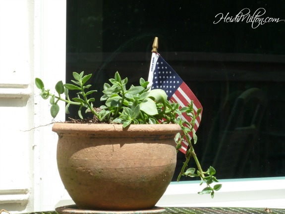 replant pots 2 - DIY Patio Refresh - Heidi Milton - Mohawk Homescapes