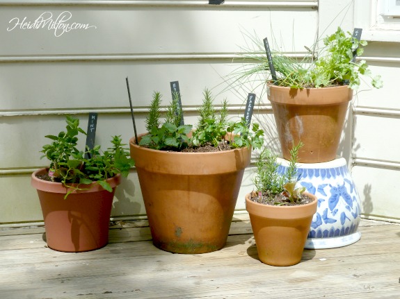 replant pots - DIY Patio Refresh - Heidi Milton - Mohawk Homescapes