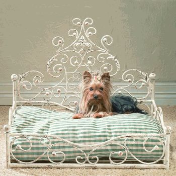 homegoods small dog bed
