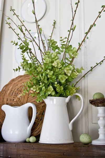 Mohawk - spring white pitcher