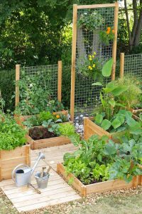 Veggie Garden- Mohawk Home