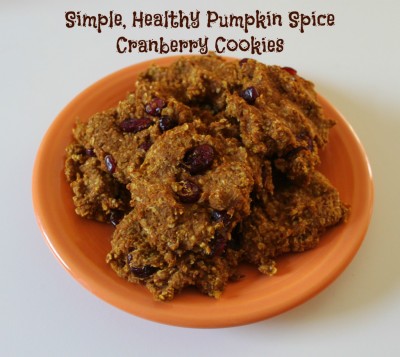 bearfeetonthedashboard.com  - Healthy Toddler Treats - Pumpkin Spice Cranberry Cookies - Mohawk Homescapes lifestyle blog