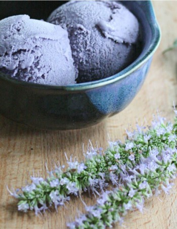 Summertime Ice Cream - Mohawk Homescapes - Mohawk blog - Pinterest - Blueberry ice cream - housebeautiful.com