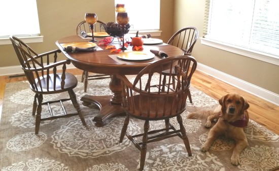 dining room rehab - neutral rug - American Rug Craftsmen rug - Reflections Dragonfly Medallion - Mohawk Home - Tucker the dog