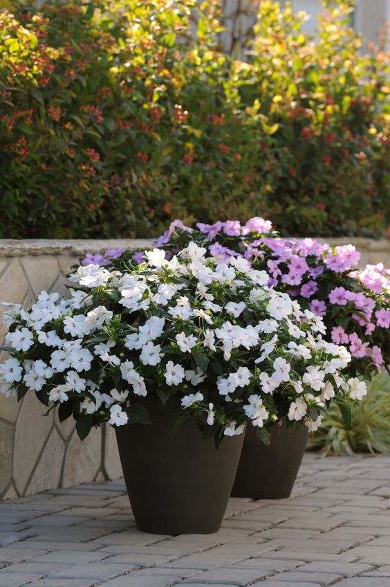 Porch Planters | Heidi Milton | HGTV Gardens | Mohawk Homescapes