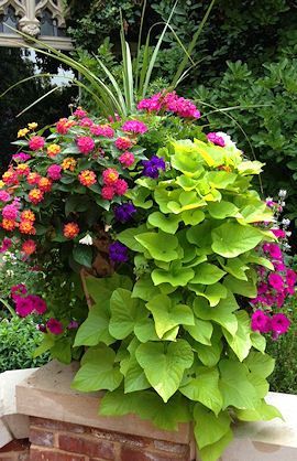 Porch Planters | Heidi Milton | Stoke Glory | Mohawk Homescapes