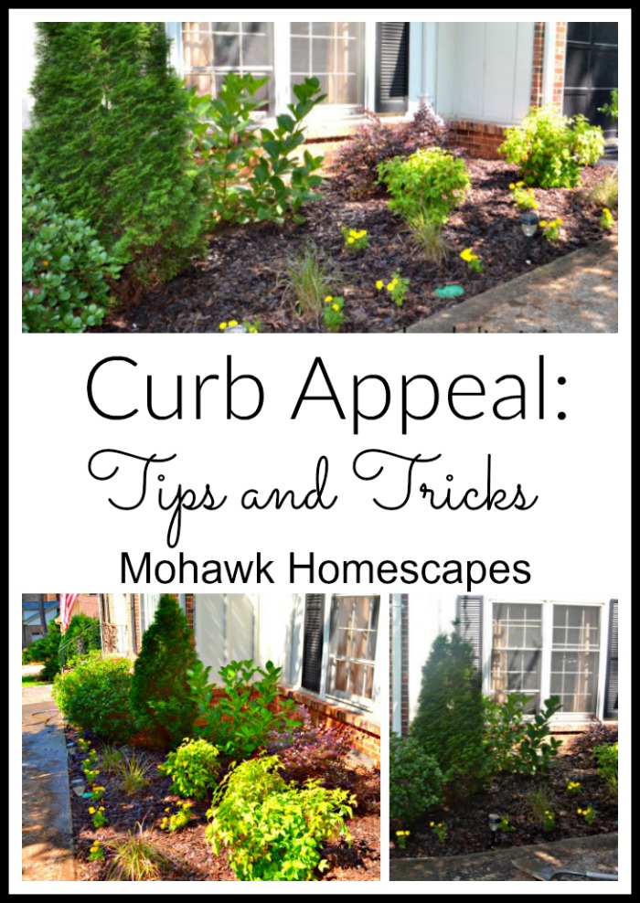 Curb Appeal Tips and Tricks | Karen Cooper | Dogs Don't Eat Pizza | Mohawk Homescapes