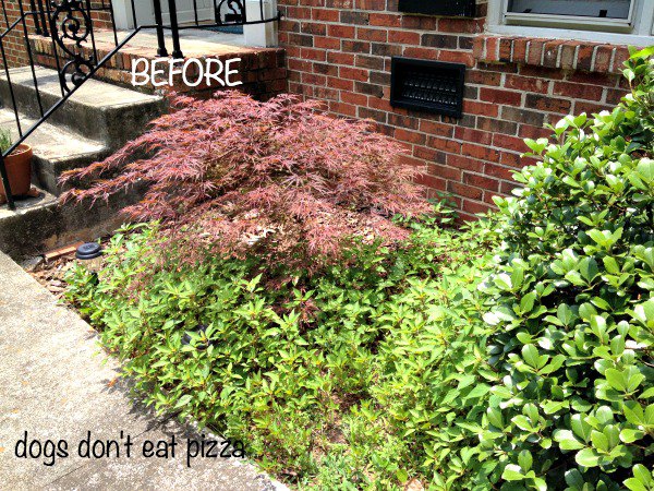 Curb Appeal Tips and Tricks | Karen Cooper | Dogs Don't Eat Pizza | Mohawk Homescapes