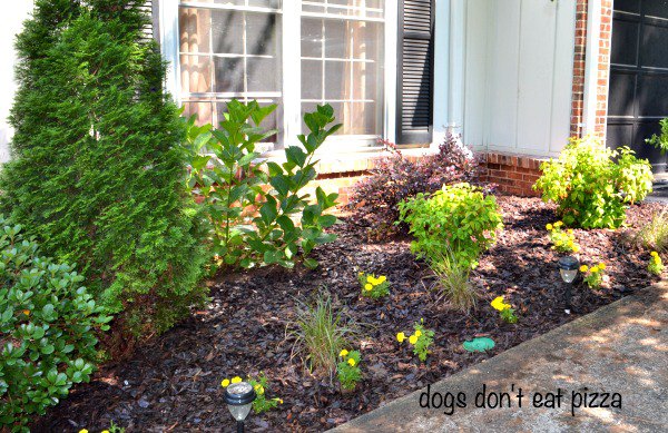Curb Appeal Tips and Tricks | Karen Cooper | Dogs Don't Eat Pizza | Mohawk Homescapes