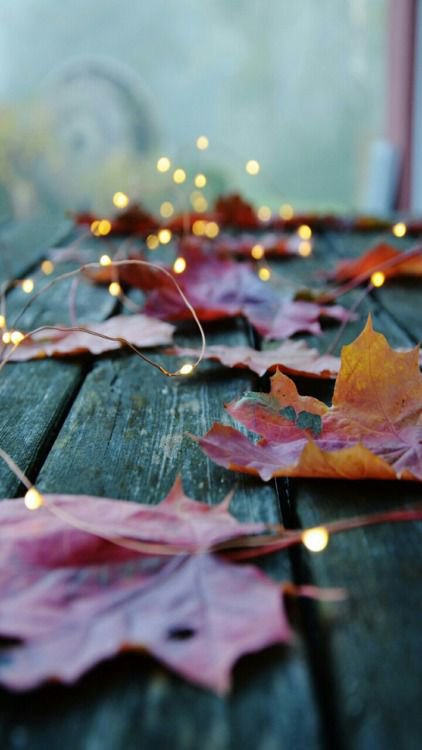 Natural Tablescapes for Fall - Inspiring Fall Tables - Heidi Milton - Mohawk Home - Autumn Cozy