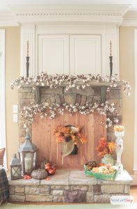 Decorate a Fall Mantel with Natural Elements | Karen Cooper | Dogs Don't Eat Pizza | Atta Girl Says | Mohawk Homescapes