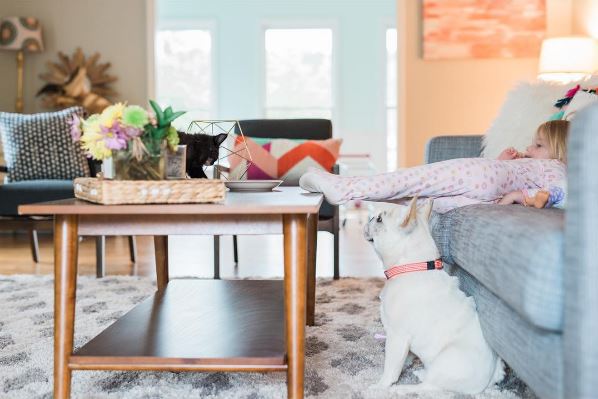 Photo dog and toddler relaxing in family room, featuring Mohawk Home's Adona Area rug from the Laguna collection