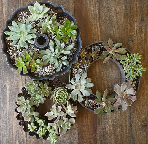 Flea Market Find- Bundt Cake Pan- Succulent Planter