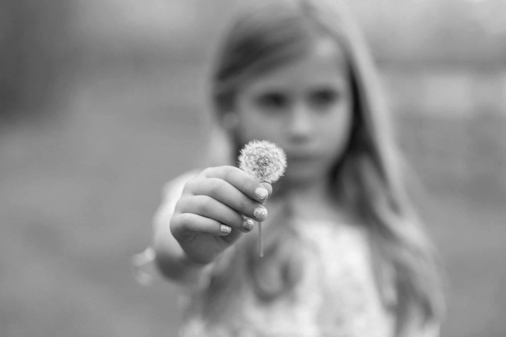 Little girl with dandelion as prop in family photo session