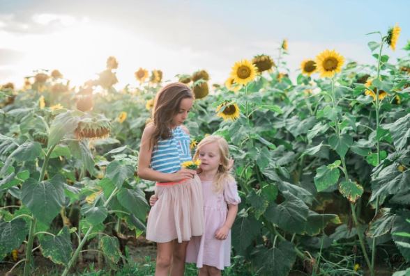 Sunflower field backdrop for a kid-friendly photo shoot
