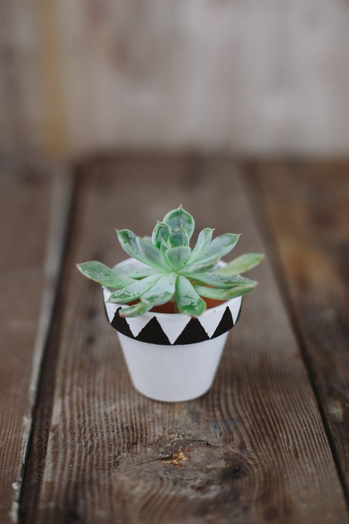3 Easy and Fun DIY Painted Flower Pot Projects