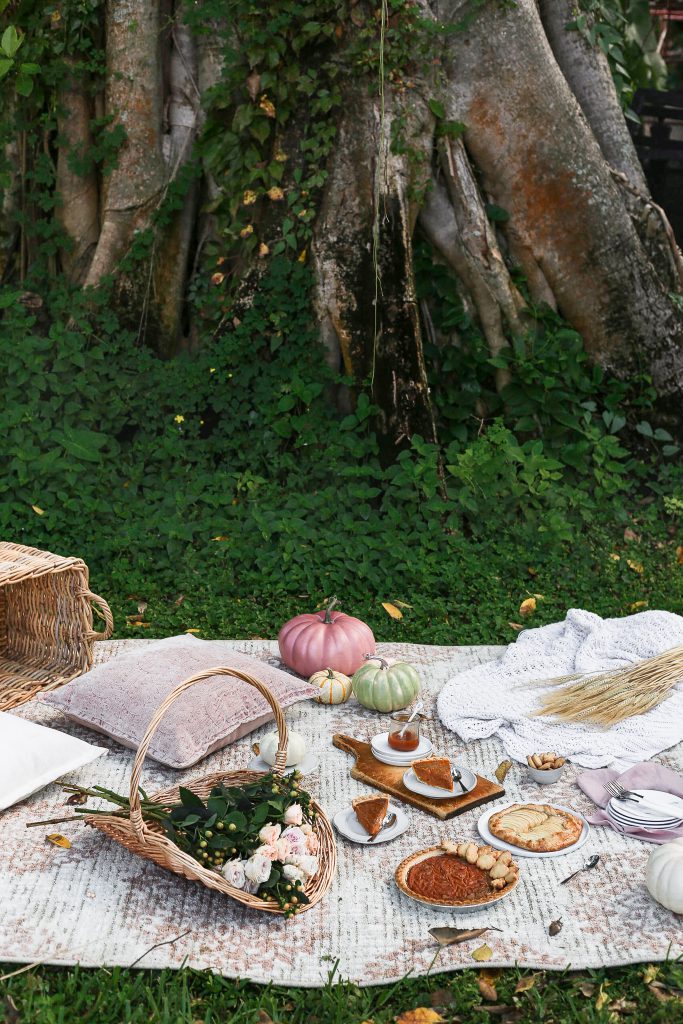 Fall picnic and pumpkin pie recipe