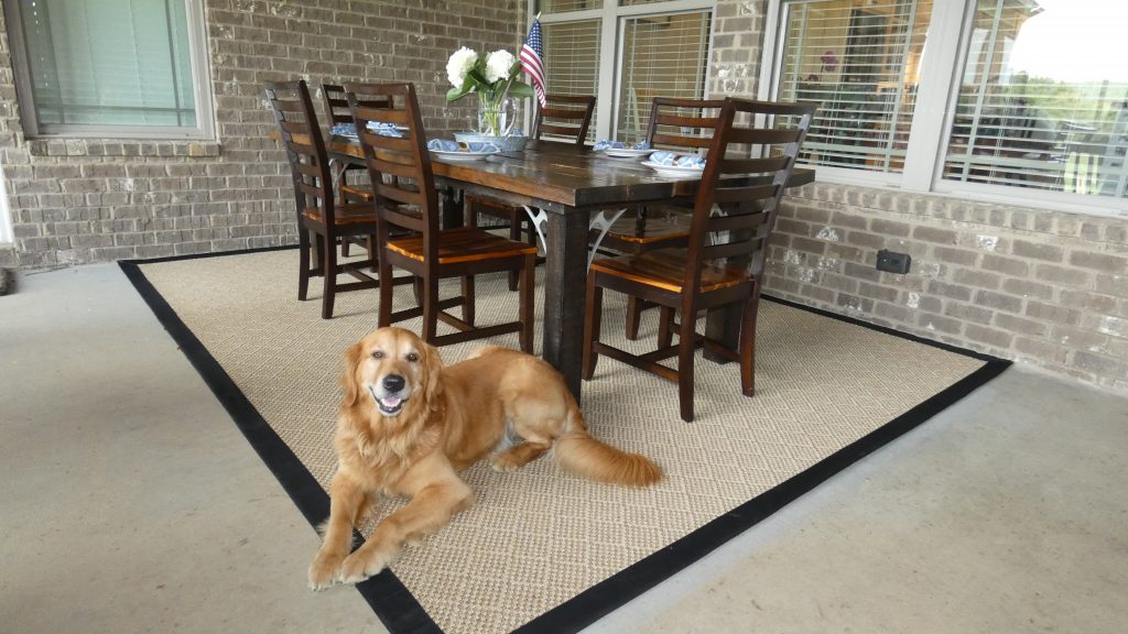 Pet-friendly indoor/outdoor area rug from Mohawk Home