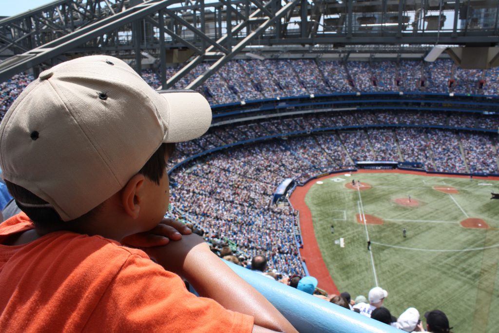 baseball game and other Staycation ideas on Mohawk Homescapes